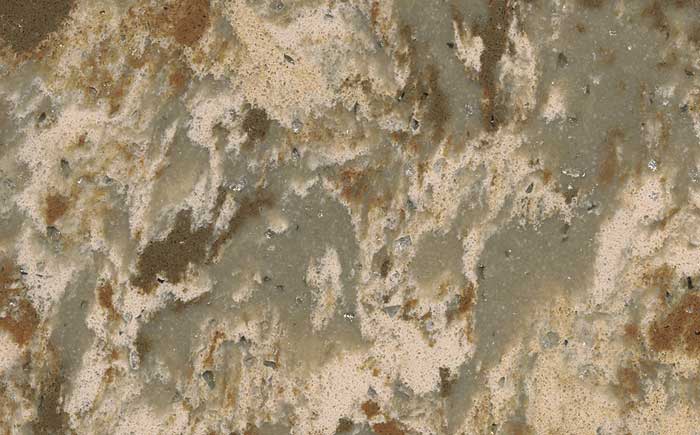 SS-V007 ������