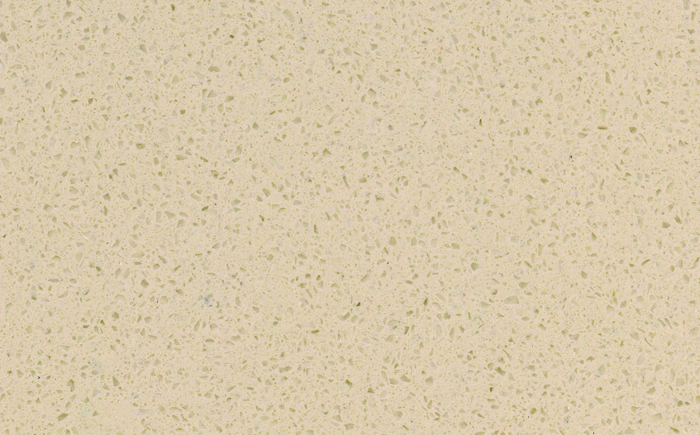 SS3960 ������