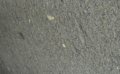 ????? ?????? ????????