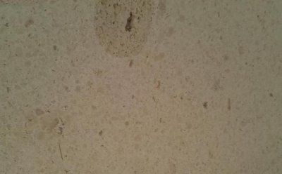 ????? ?????? ?????? ????????