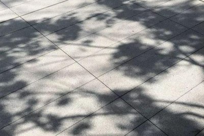 ????? ???? ???????? ??????? ??? ???????? ???????? ?????